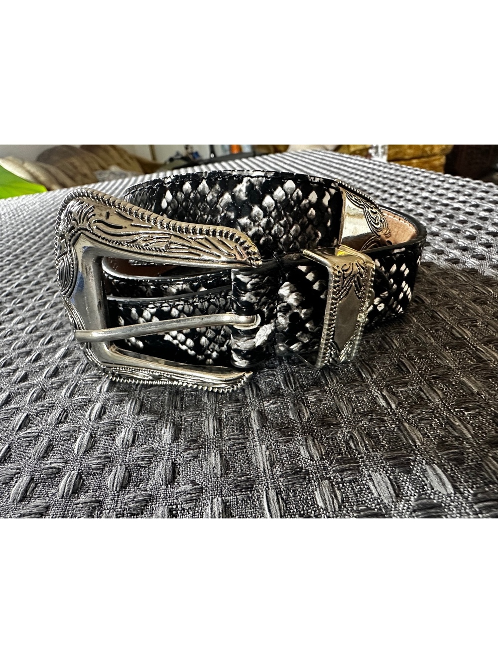 Black and White Snakeskin Pattern Western Belt with Silver Buckle